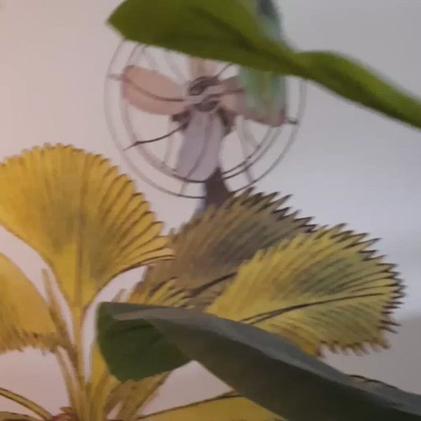 Applique murale en bois chambre d'enfant | Éléphant 3D - naturel